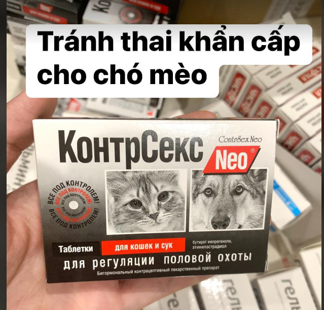 Thuốc Ngừa Thai Khẩn Cấp Cho Chó: Giải Pháp Hiệu Quả Và An Toàn