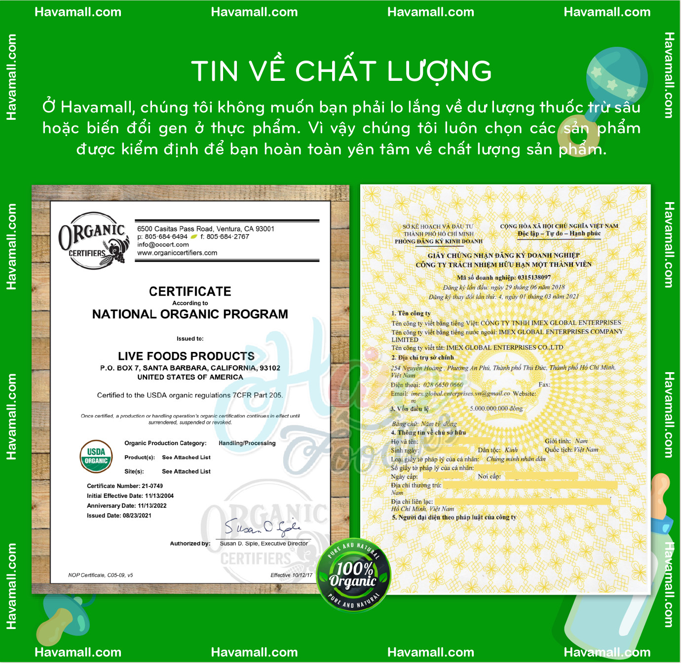 [HÀNG CÔNG TY NHẬP KHẨU] Đậu Cúc Pinto Havafood 500g