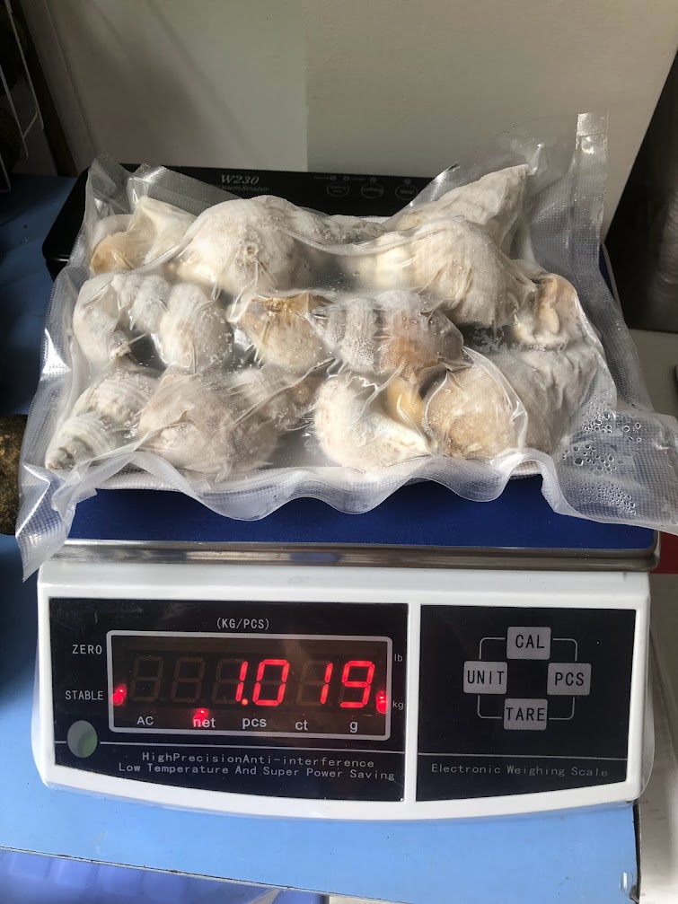 [CBC] Ốc Bulot Đại