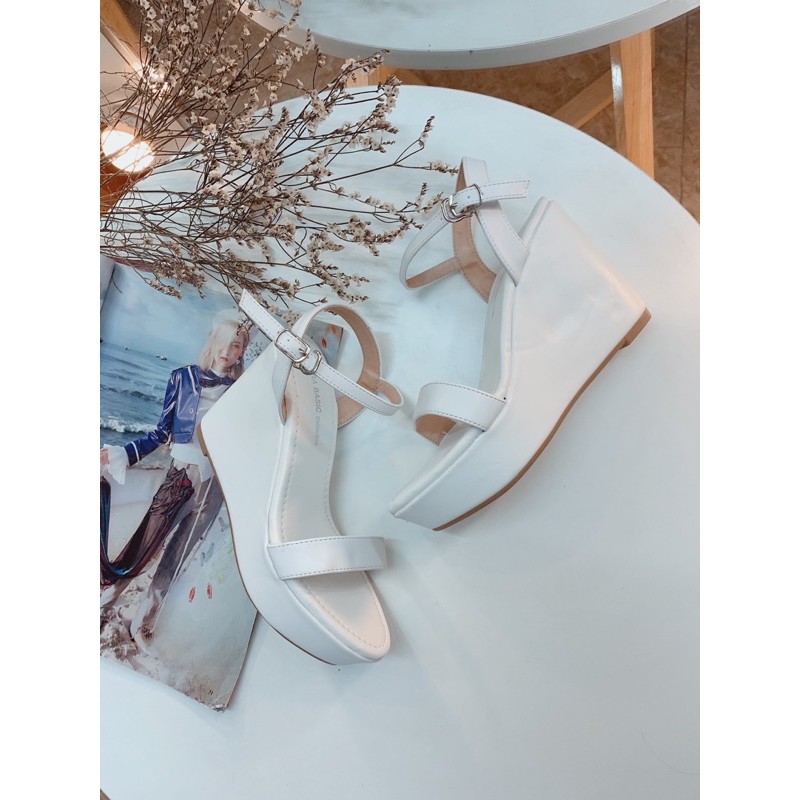 🌿 HÀNG CÓ SẴN🌿 Sangdal đế xuồng 9cm - 12cm