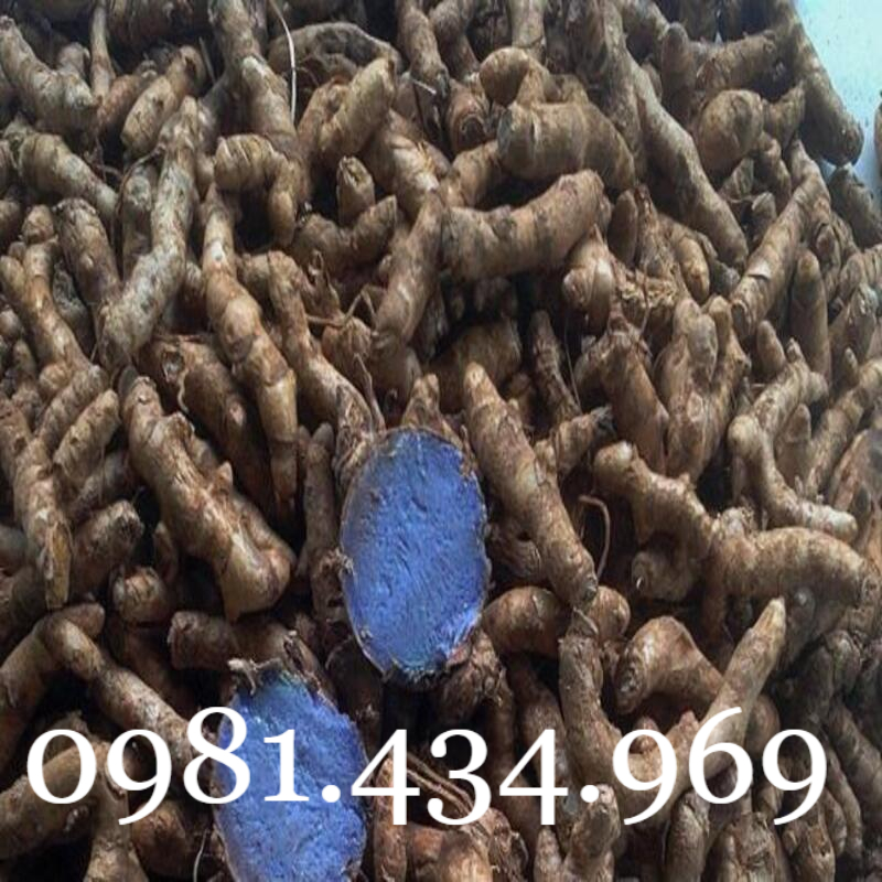 Nghệ đen tươi 01kg chuẩn đẹp