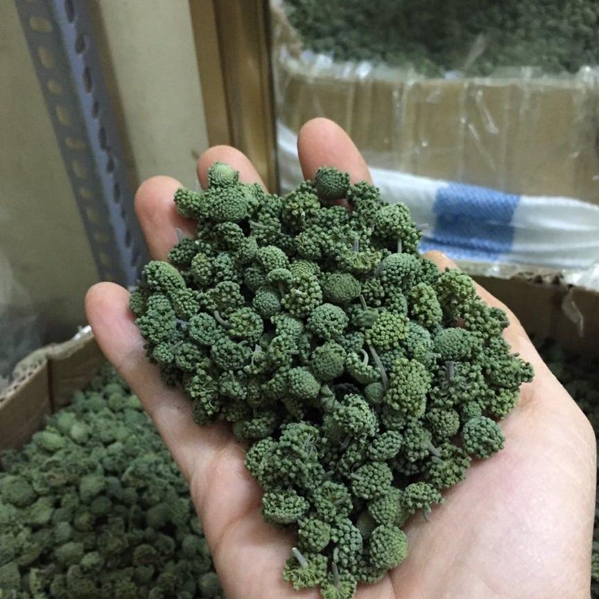 500g nụ tam thất không cuống