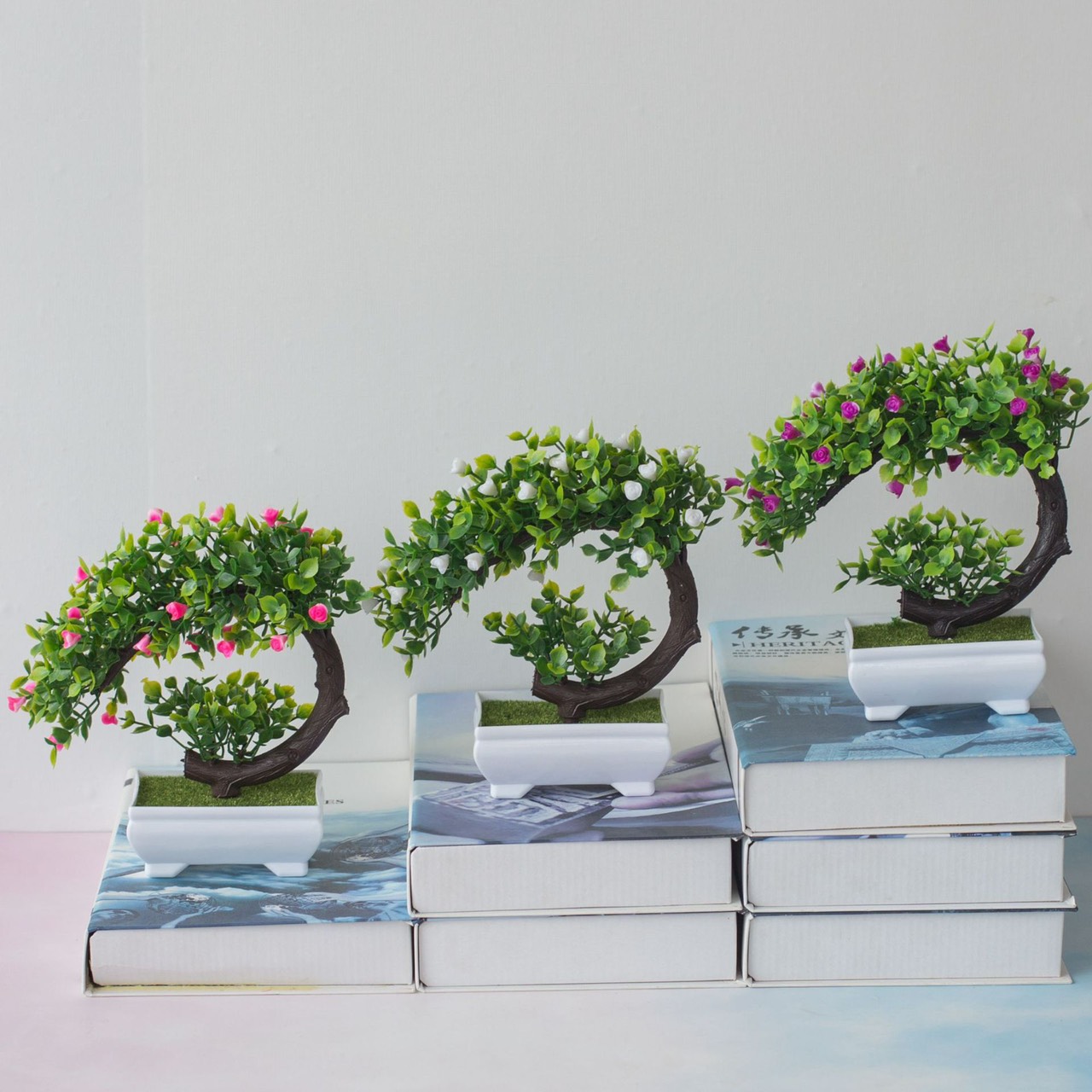 [HCM]Chậu Cây Bonsai Phú Quý - Vạn Sự Như Ý