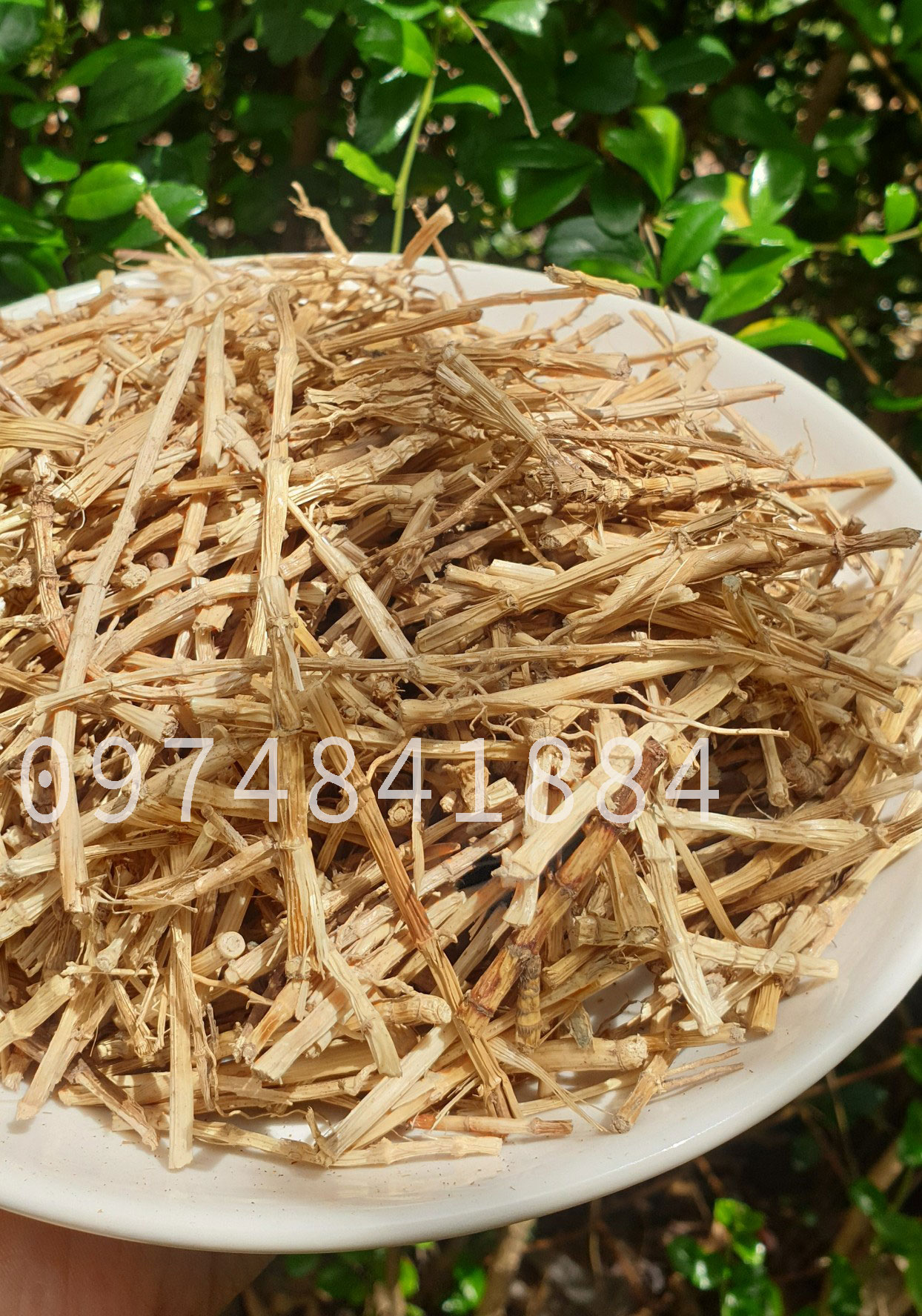[Tết 2022]500g Rễ cỏ tranh khô