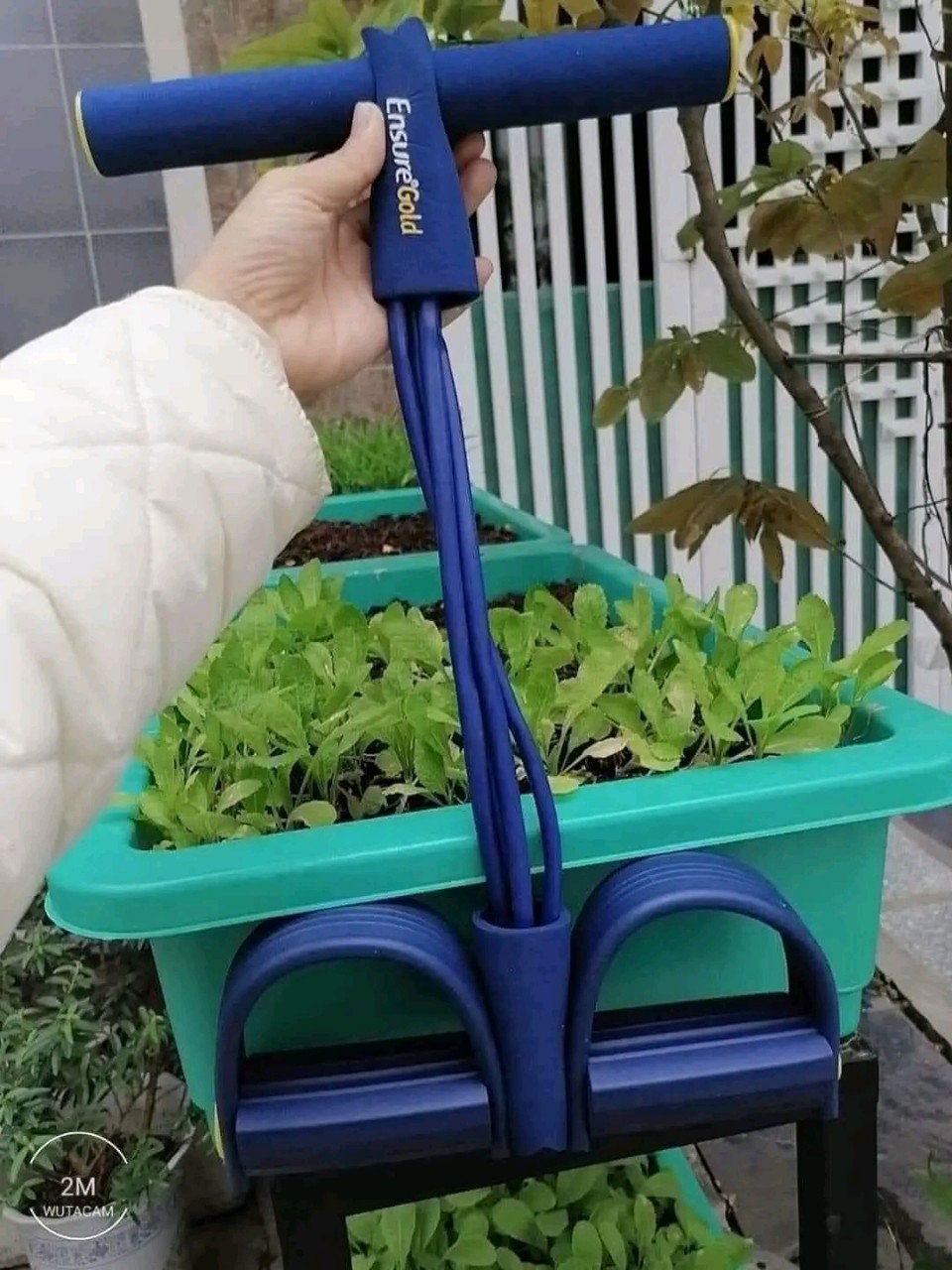 Dây Tập Cơ Bụng Tập Lưng Đàn Hồi Đa Chức Năng