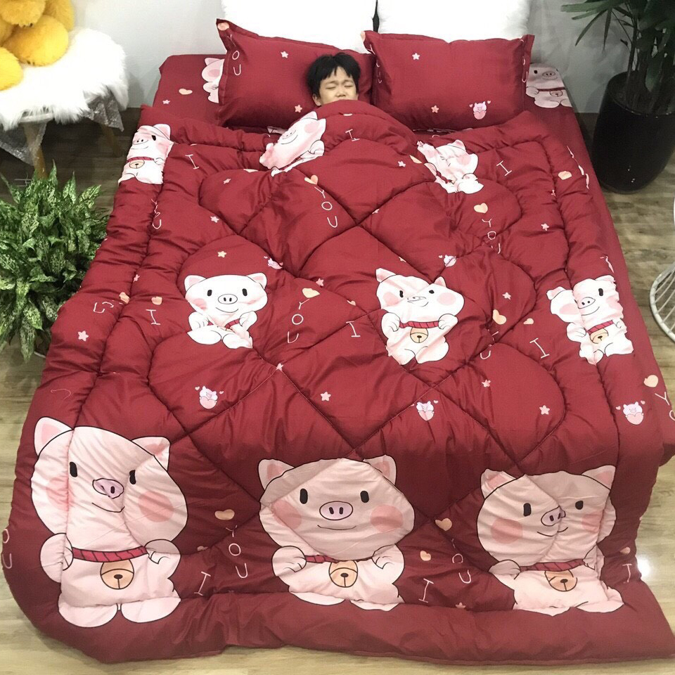 Set 5 Ga Gối Và Vỏ Chăn Nhiều Hoạ Tiết Đủ Kích Thước Tha Hồ Lựa Chọn (Inbox Chọn Mẫu) Revato kho chăn ga gối, ga gối, ruột chăn, ruột gối,Thảm các loại ,drap ga gối, drap mền.