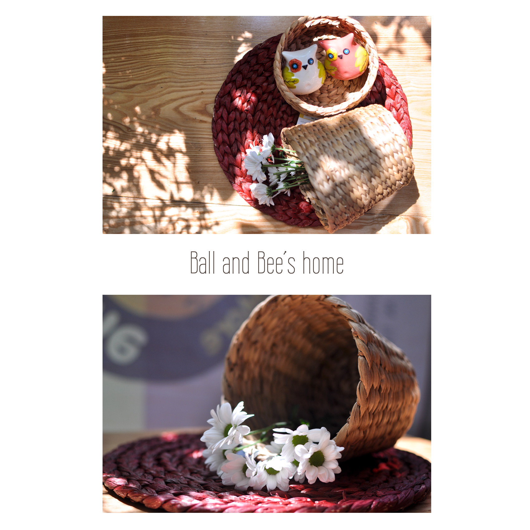 Cốc \sọt lục bình làm chậu trồng cây decor, phong cách vintage\sọt lục bình