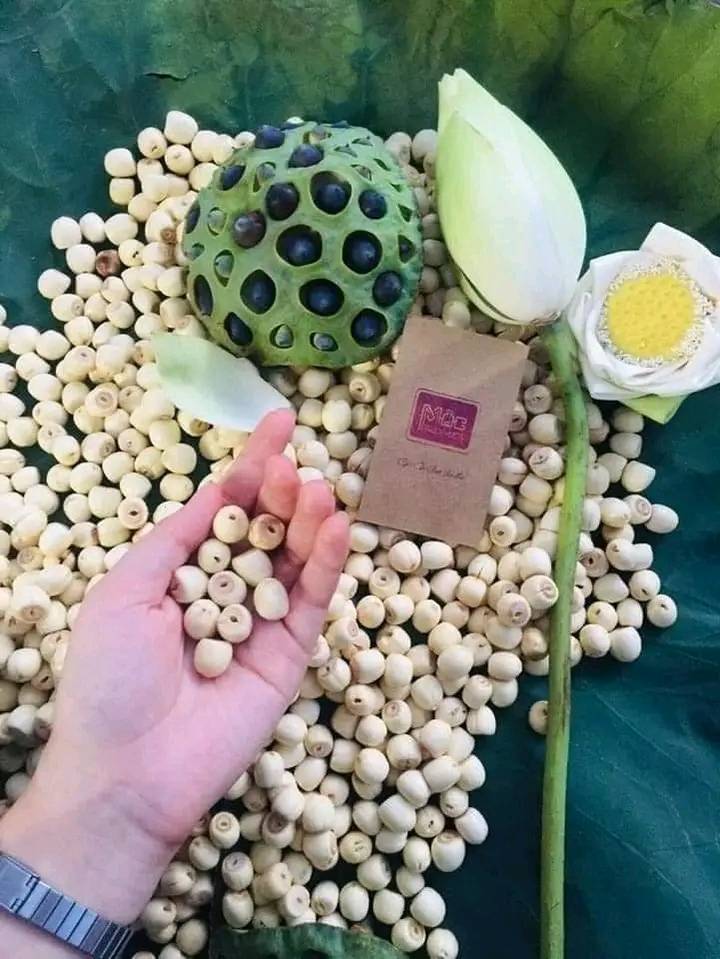 Hạt Sen Sấy Mộc Truly Hue’s - 100gram