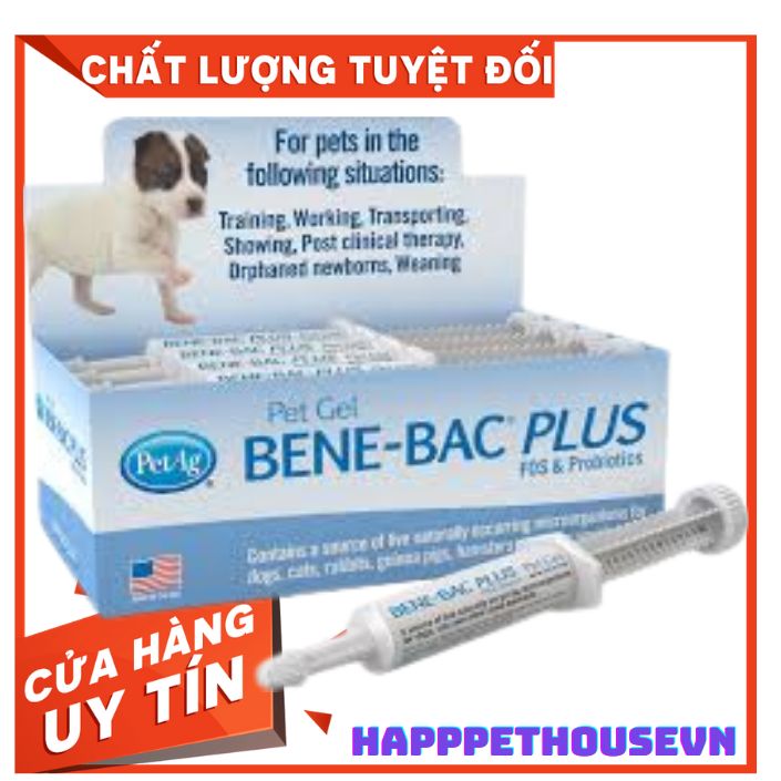[Ống 15Gr] Men hỗ trợ đường ruột, tiêu hóa Bene Bạc Plus