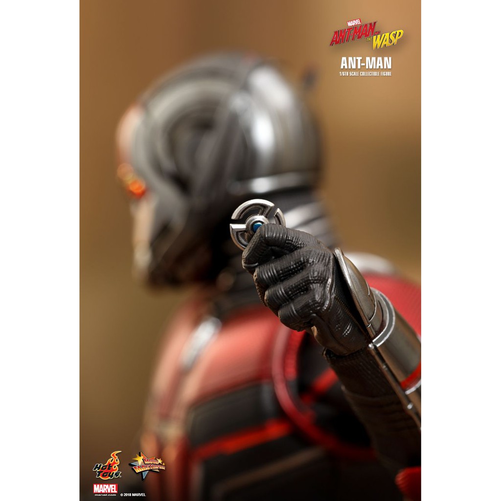 [HCM][Order báo giá] Mô hình chính hãng Hottoys MMS497: Antman (Antman and The Wasp)