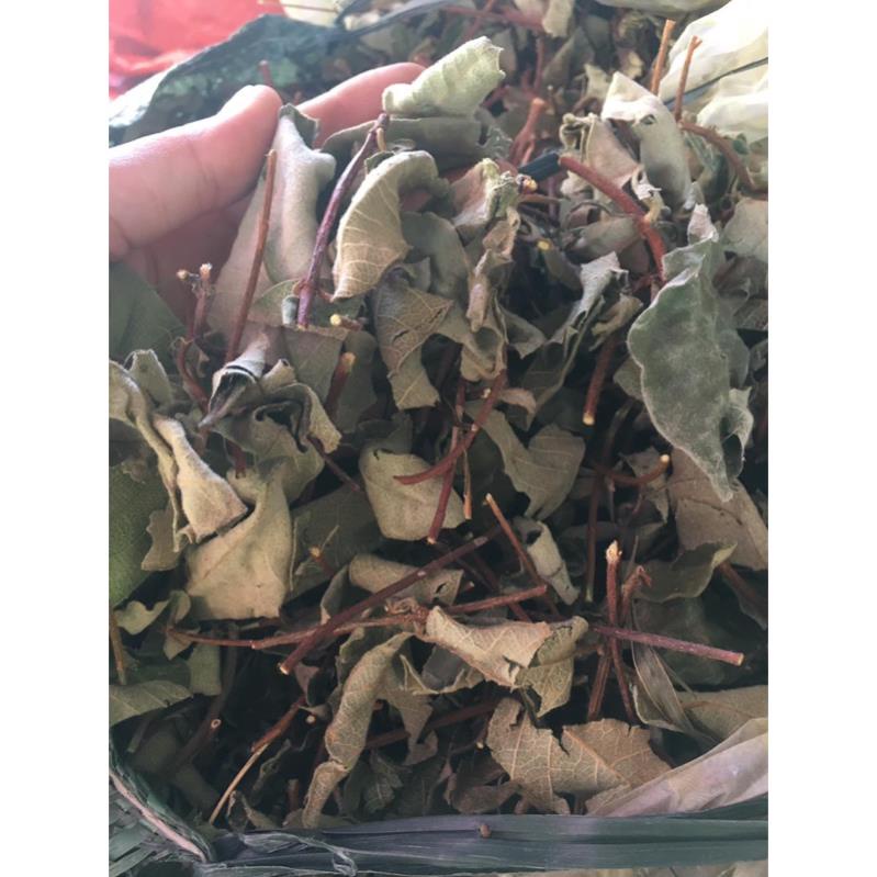 Lá Cây Hà Thủ Ô Đỏ khô sạch (dây + lá)