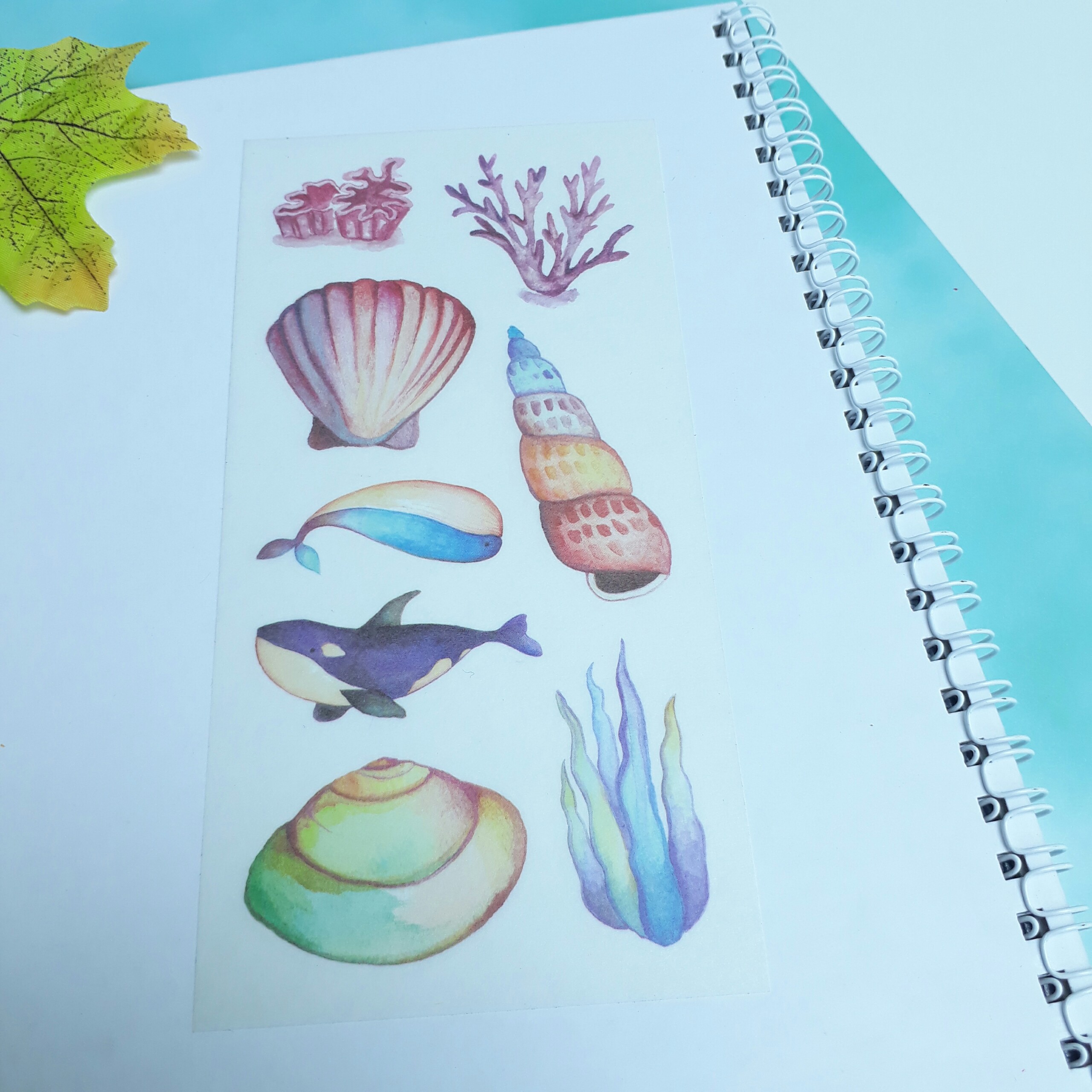 [HCM]Bộ 6 Tấm Sticker Sinh Vật Biển