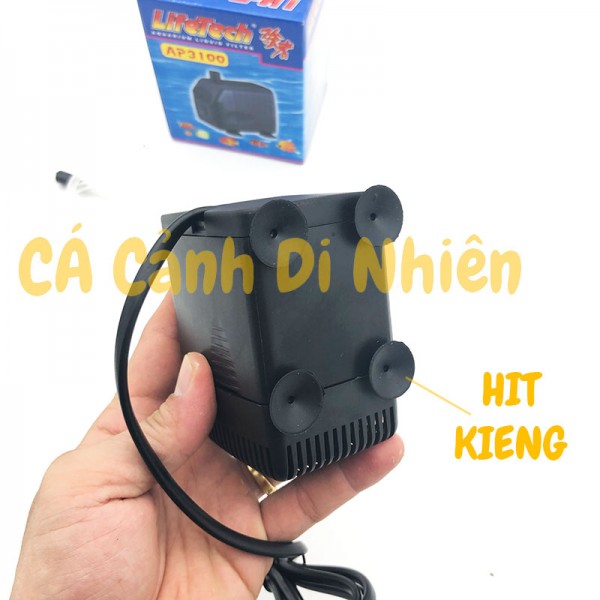 Máy Bơm Hồ Cá 32W - AP 3100 - Hàng Công Ty