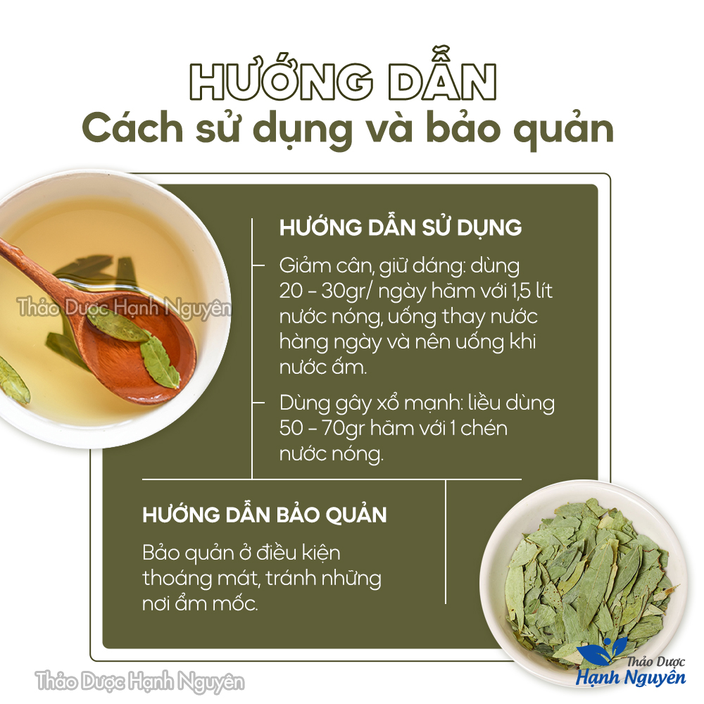 Trà Phan Tả Diệp Giảm Cân 100g Hàng Khô Chất Lượng - Thảo Dược Hạnh Nguyên