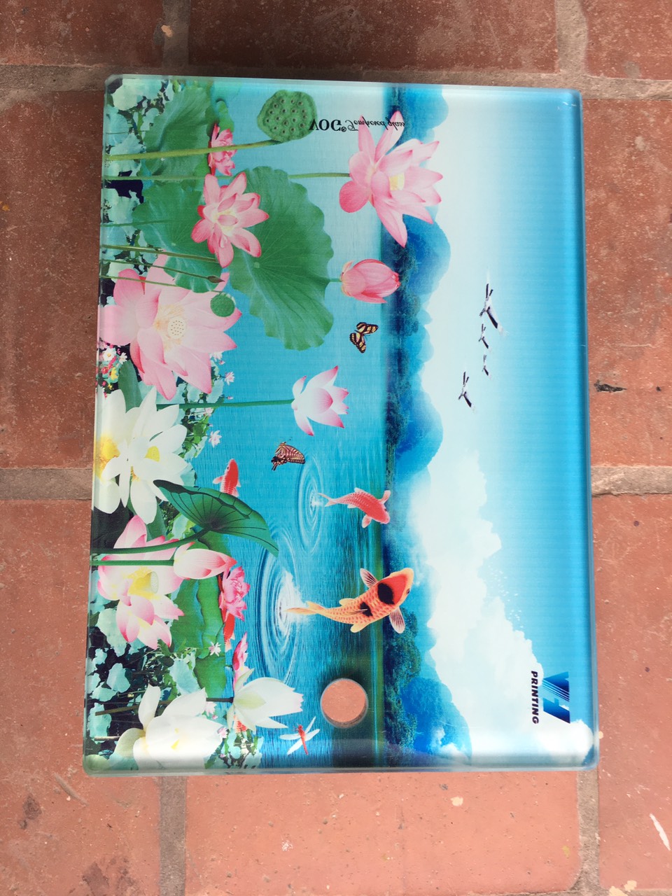 Thớt kính cường lực 3D Vũ Hân (250x350x12mm) - VH2113