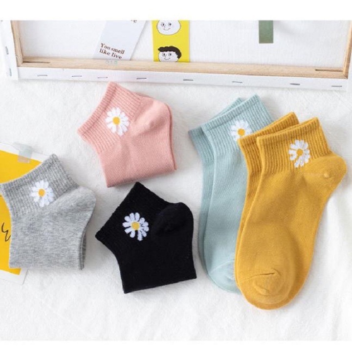 Combo 10 đôi tất Hoa Cúc cho ngày rực rỡ