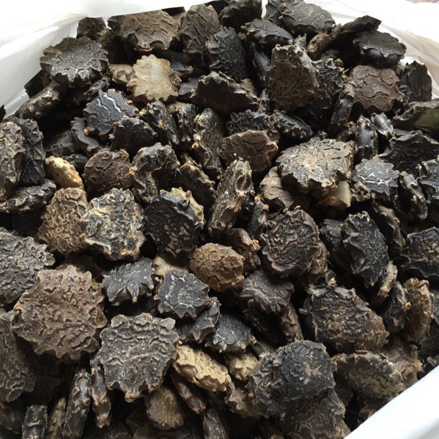 1kg Hạt Gấc Khô (Mộc miết tử) loại tốt