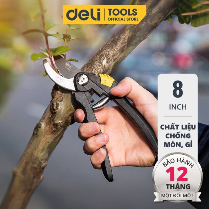 Kéo Cắt Tỉa Cành Cây Deli Chính Hãng 8inch - Lưỡi Thép Sắc Bén, Siêu Bền, Tay Cầm Đệm Cao Su An Toàn, Chắc Chắn DL580201 - Hình ảnh 3