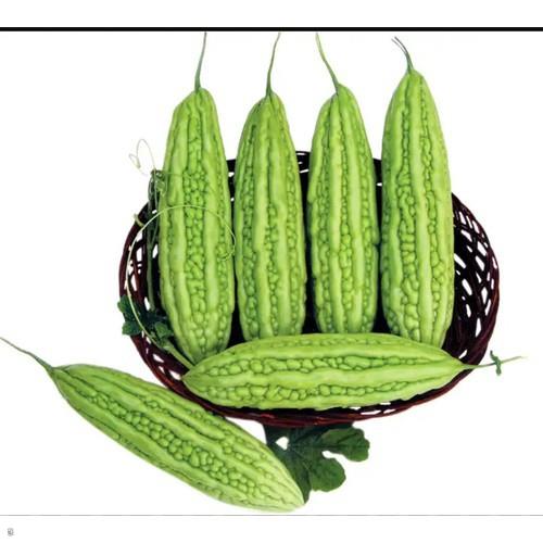 Hạt giống khổ qua lai f1 hn_39