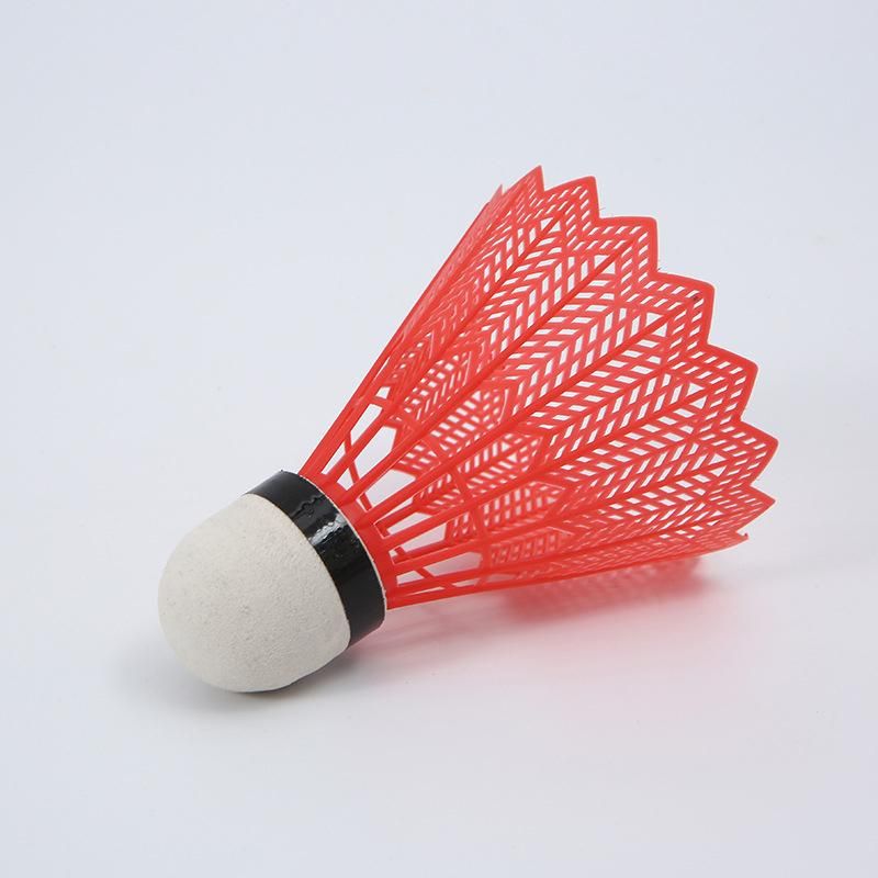 Ống cầu lông nhựa 6 quả BK2135