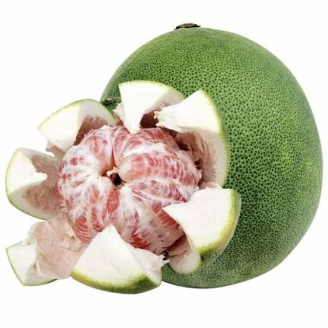 Cây bưởi da xanh ruột đỏ đang trái