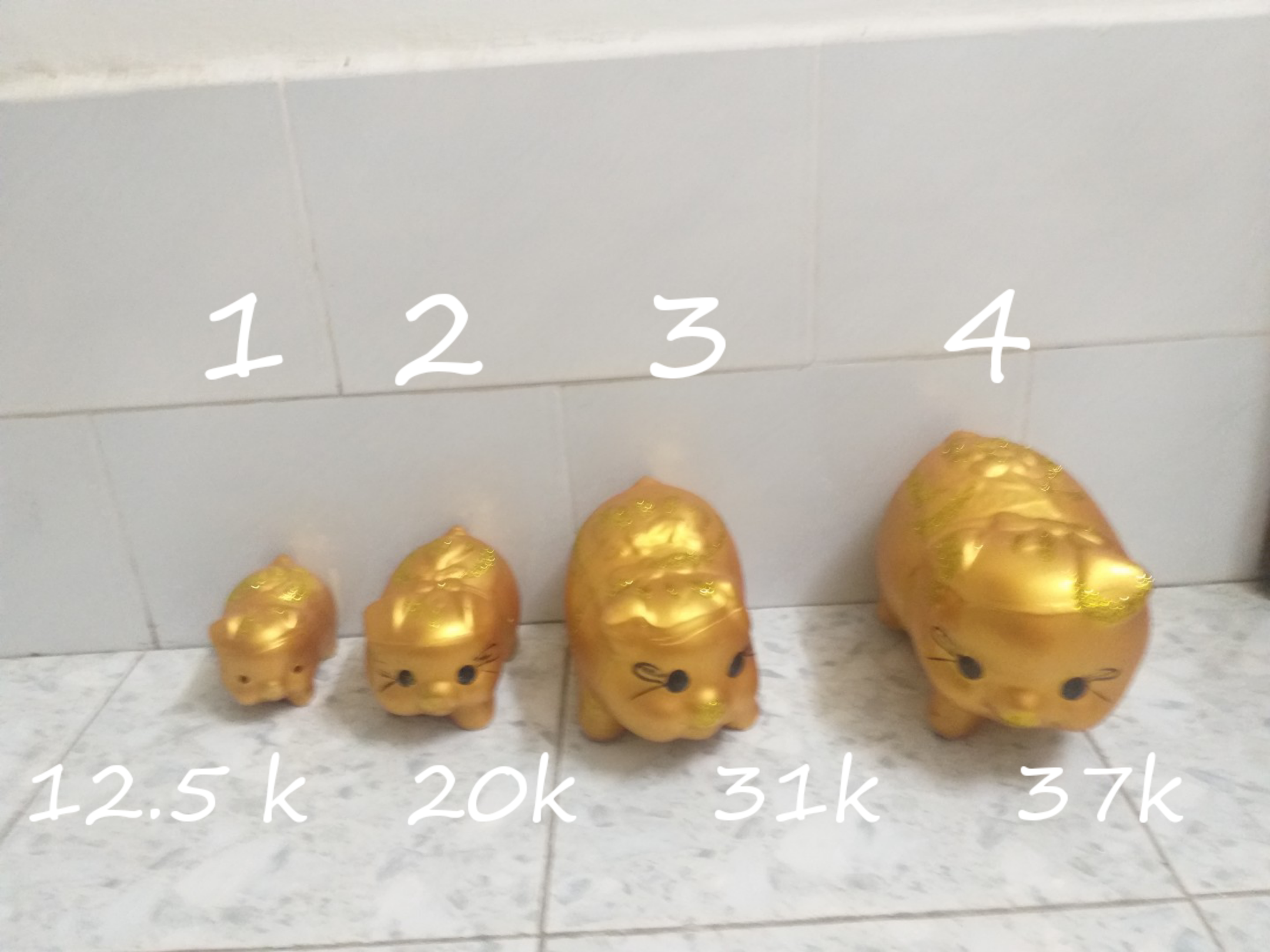 [HCM]heo đất 3