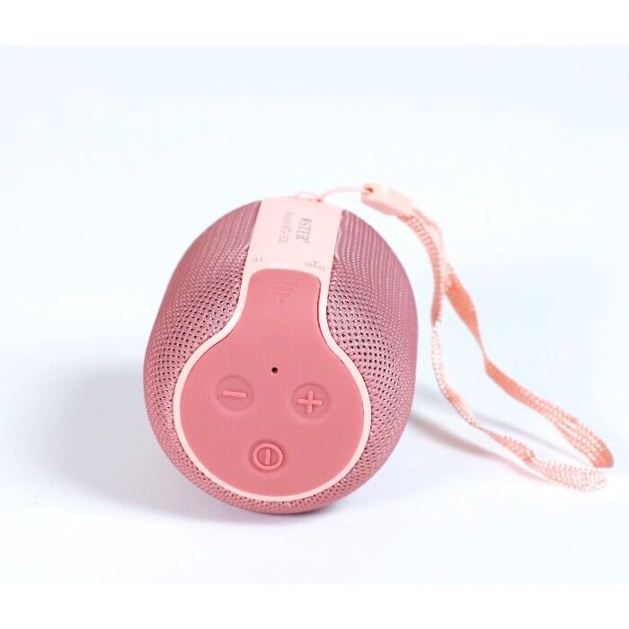 LOA BLUETOOTH WSTER WS-309 ÂM THANH CỰC HAY