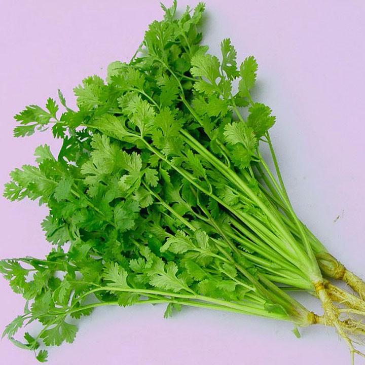 Gói 20g hạt giống ngò Bạc Liêu