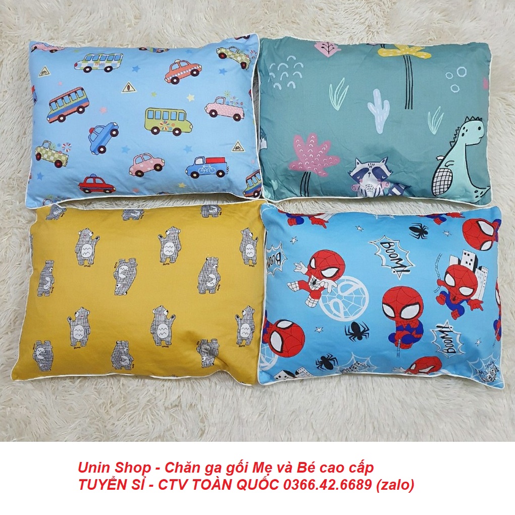 (Loại nhỡ) Gối đầu, vỏ gối nằm cotton cho bé nhiều bông, nhiều mẫu đẹp Pony, ô tô, siêu nhân, gấu bắc cực - Hàng cao cấp