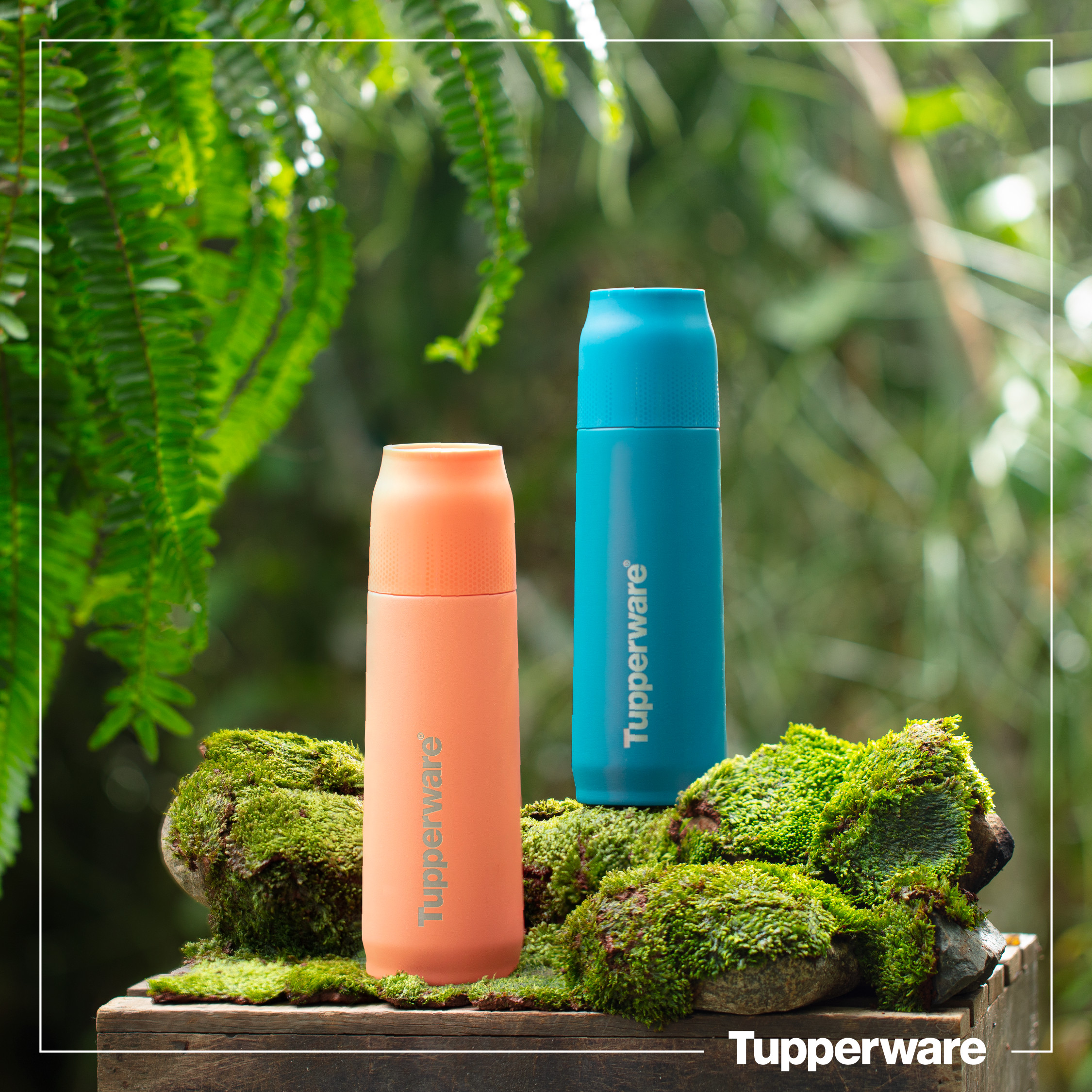 Bình giữ nhiệt Tupperware Buddy 520ml (Tặng kèm túi 90K)