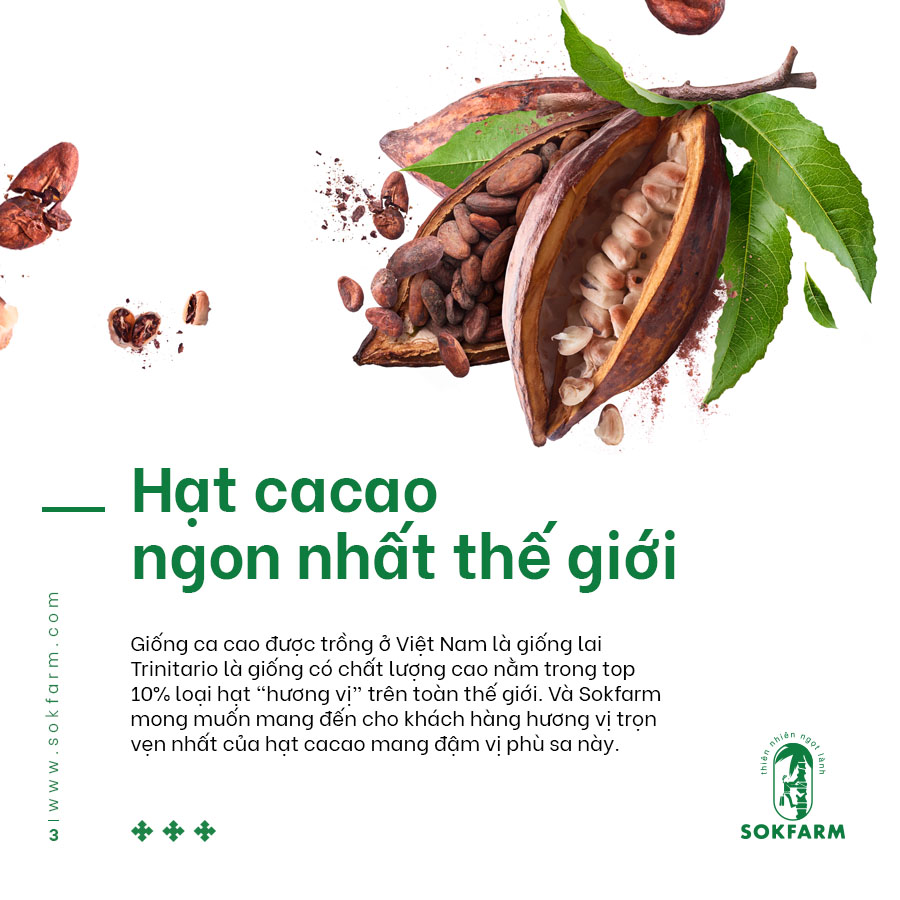 Hạt cacao & mật hoa dừa (Sokfarm) - 75g