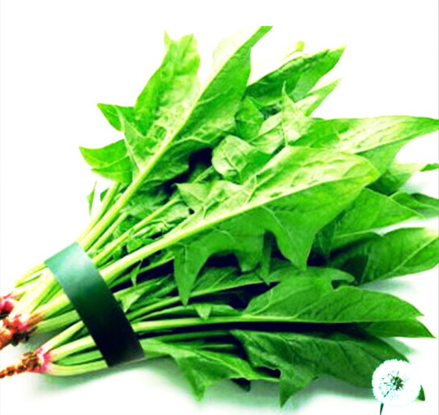 [HCM]Hạt Giống Cải Bó Xôi/Cải Bina/Cải Chân Vịt