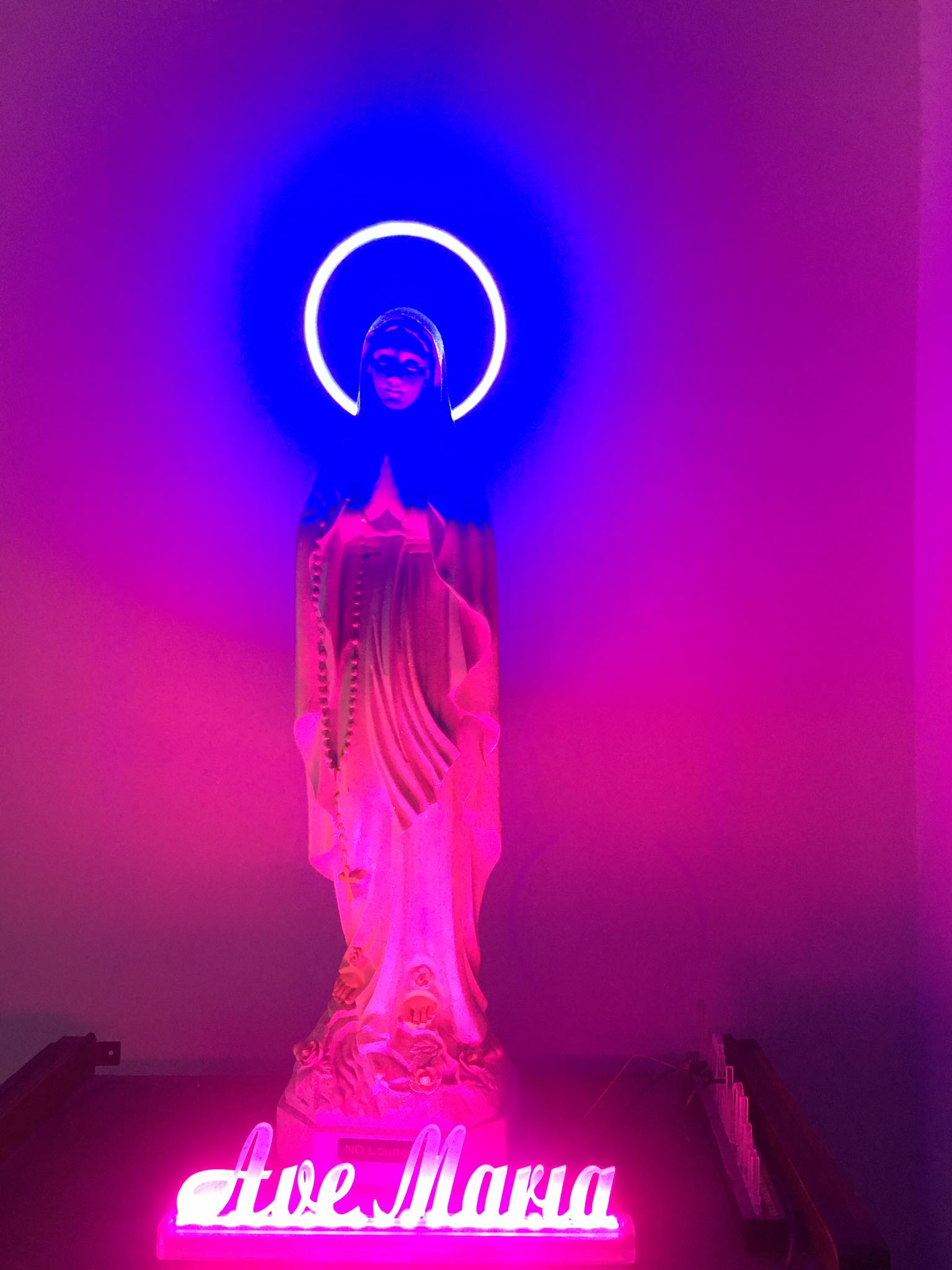 ( HCM) vòng hào quang NEON LED 28cm (kèm nguồn )