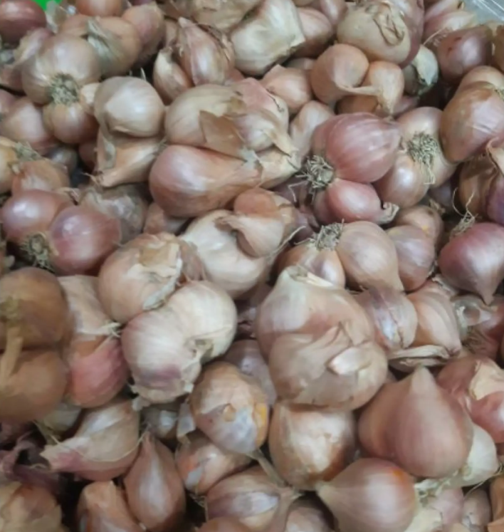 Hành ta ngon, củ mẩy 100g