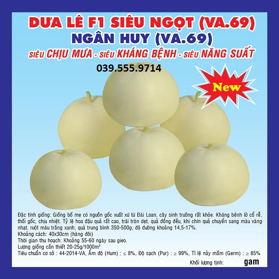 Hạt giống dưa lê F1 siêu ngọt Tân Ngân Huy – 5gam
