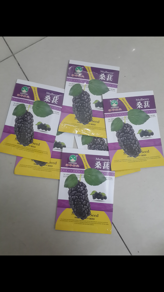 [HCM]Hạt giống dâu tằm đen