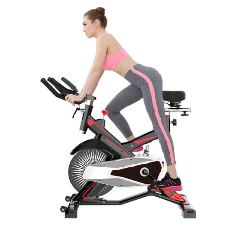 Xe đạp tập thể dục Fuji Luxury MK-100