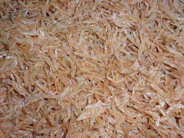 500gram tép khô (con moi)