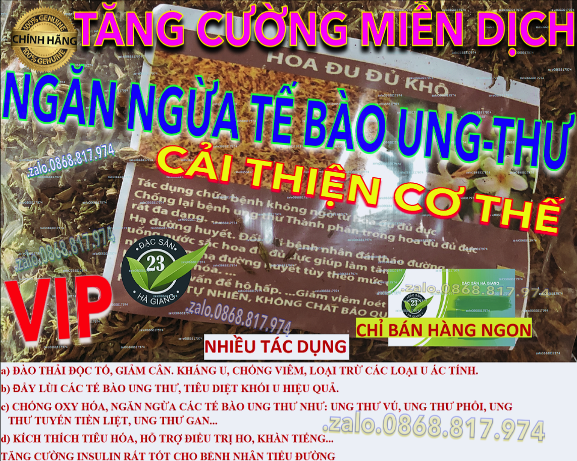 2GÓI HOA ĐU ĐỦ ĐỰC TÂYB NGỪA UNG-THƯ-KHÁNG VIÊM-ĐÀO THẢI ĐÔC.TỐ-HỖ TRỢ TIÊU-HÓA-HO-VIÊM-LOÉT DA. DÀY-HẠ ĐƯỜNG-HUYẾT-GIẢM CÂN HDDK 1.3