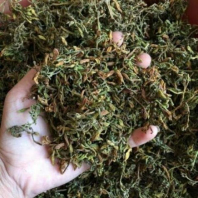 Sỉ toàn quốc 500g nụ hoa đu đủ đực sấy khô