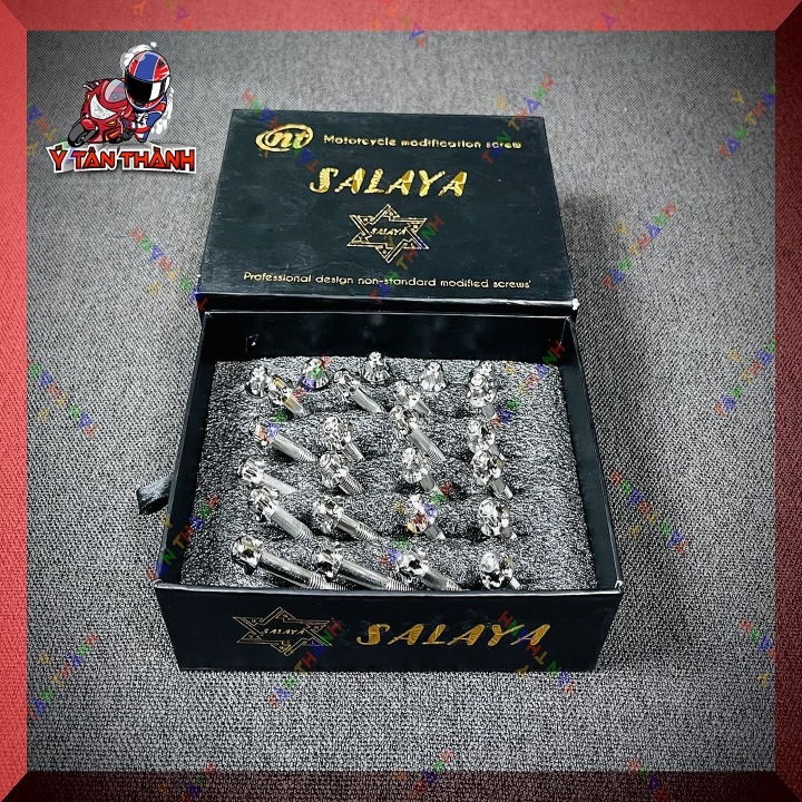 Bộ Ốc Lốc Máy Salaya Exciter 135 4 Số 25 Con