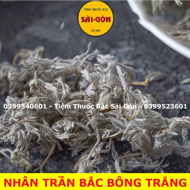 Nhân Trần Bắc Bông Trắng 500gram (Hàng thượng hạng , thơm ngon)