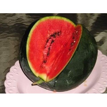 Hạt Giống Dưa Hấu Sugar Baby Vỏ Đen Thái Lan