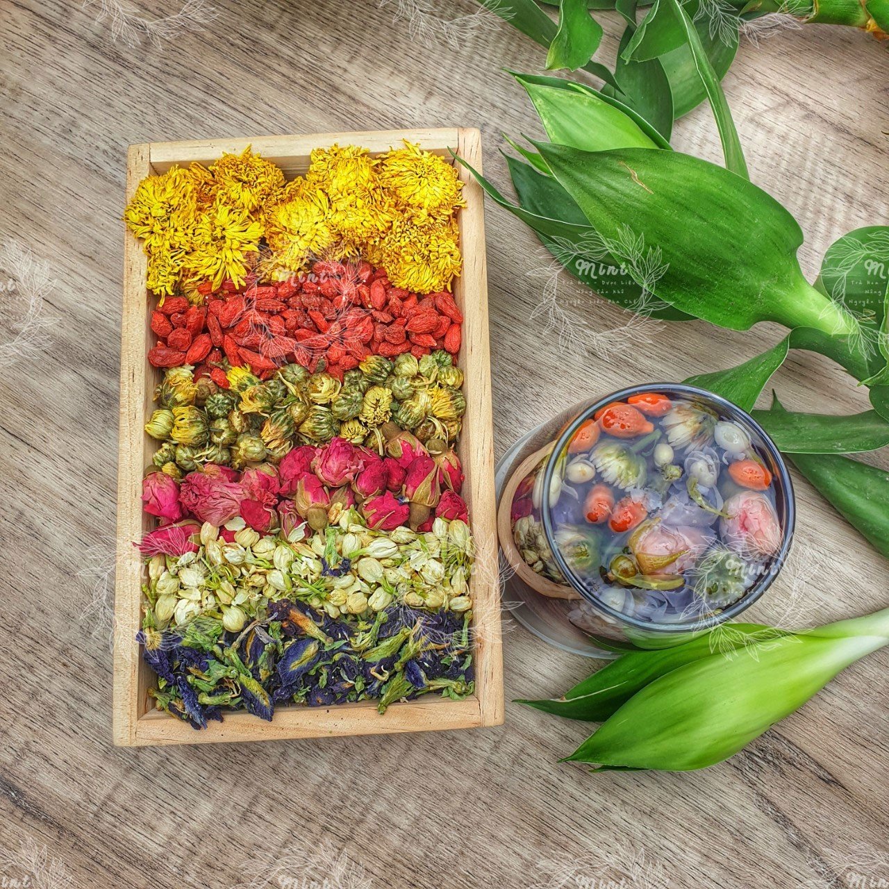 Lục trà hoa - hộp 10 set