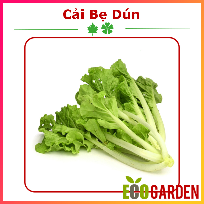 Hạt Giống Cải Bẹ Dún Dễ Trồng (ECO.222)