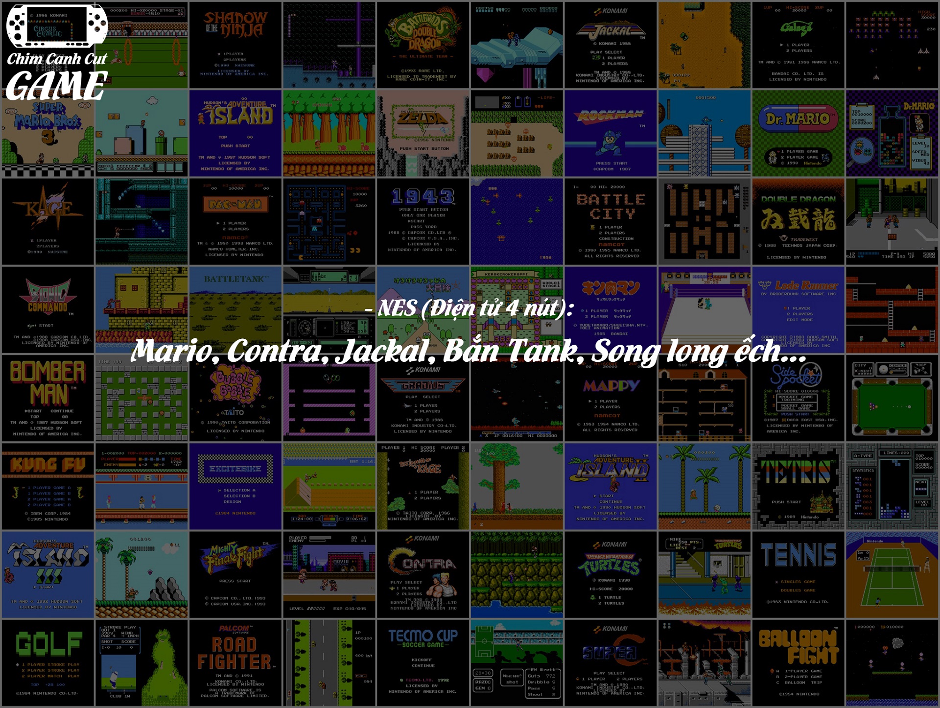 [CHÍNH HÃNG] Máy chơi Game Nintendo DSi LL (Miễn phí cài Game, Phụ kiện đầy đủ)