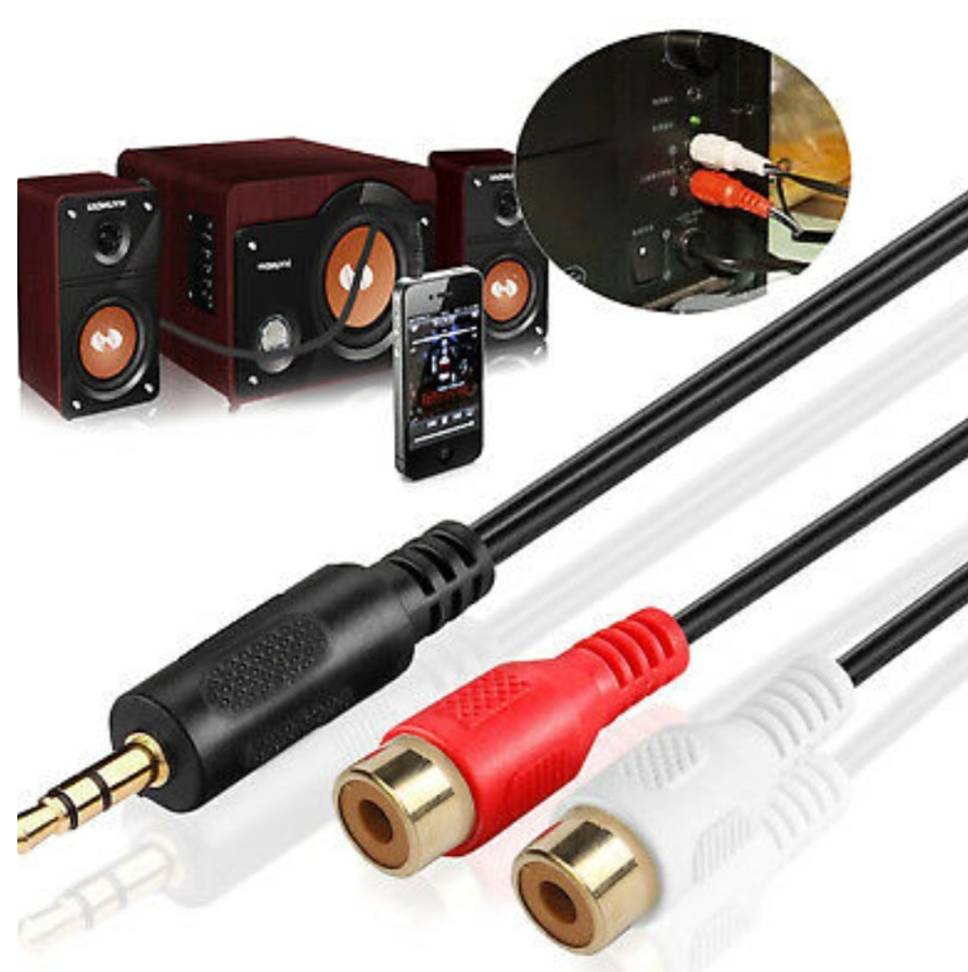 jack 3.5 đực ra 2 đầu AV bông sen cái