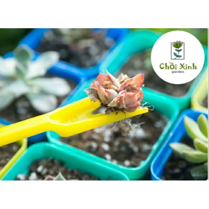 Bộ dụng cụ 2 món trồng cây sen đá, tiểu cảnh mini