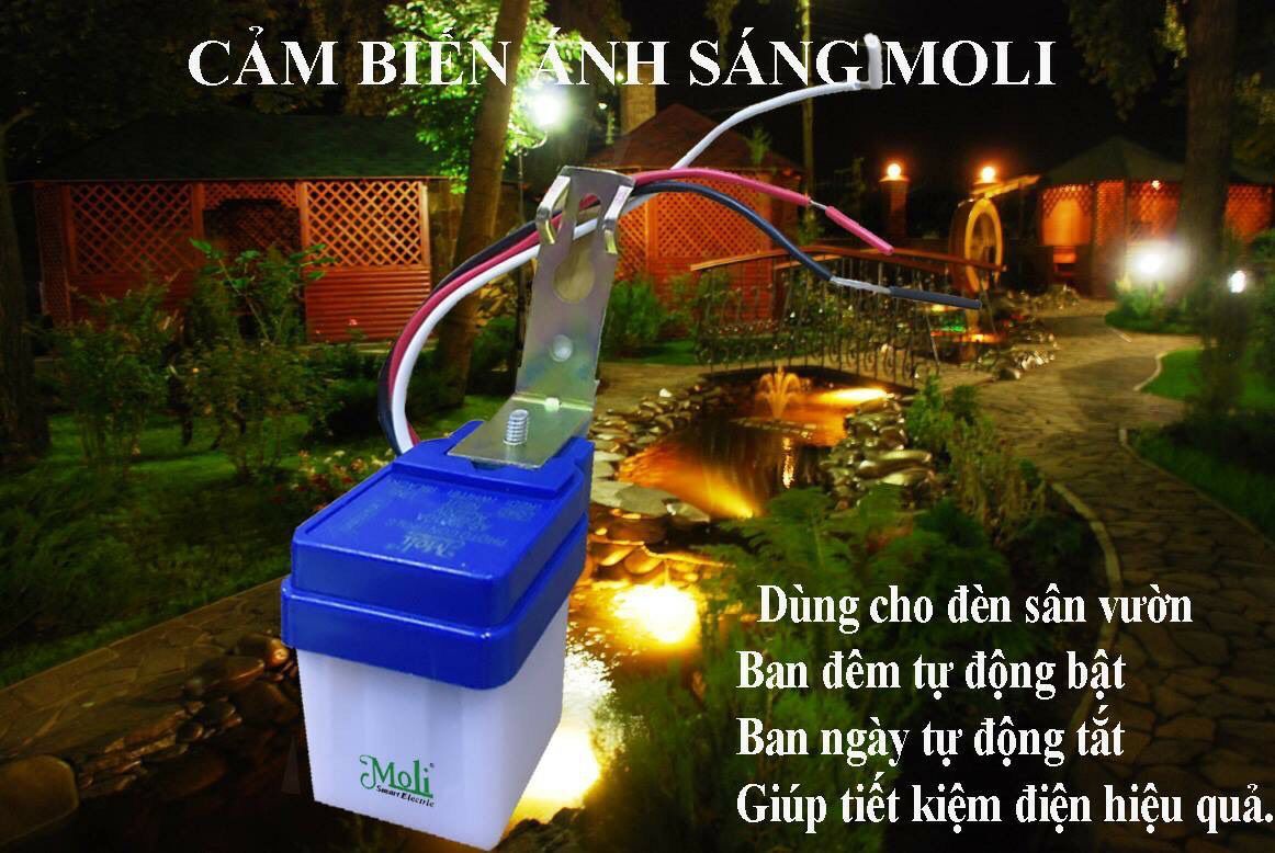[HCM]CẢM BIẾN ÁNH SÁNG