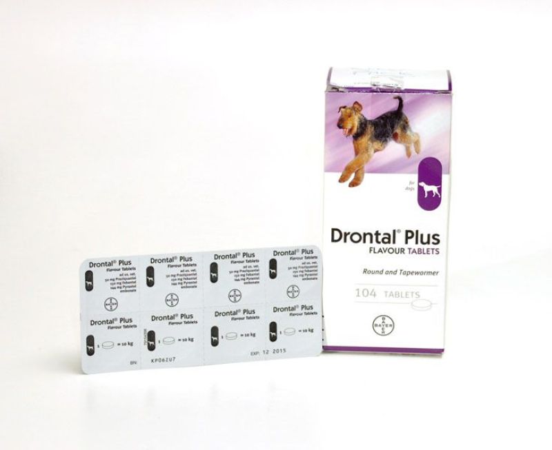 Xổ giun cho chó mèo/ drontal cho chó mèo